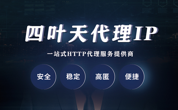 【滁州代理IP】代理ip客户端使用教程